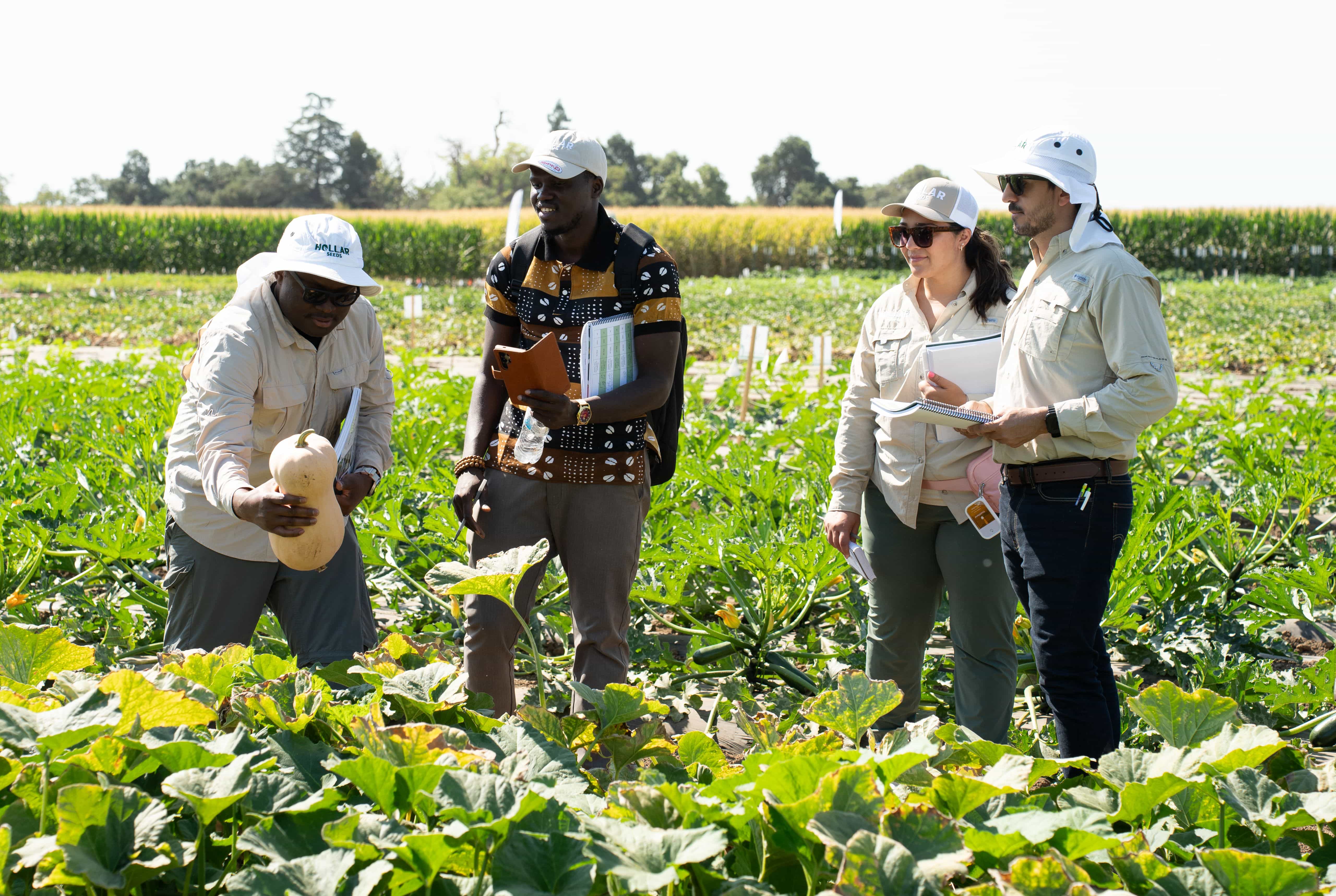 Hollar Seeds Field Day at Seed Week 2025