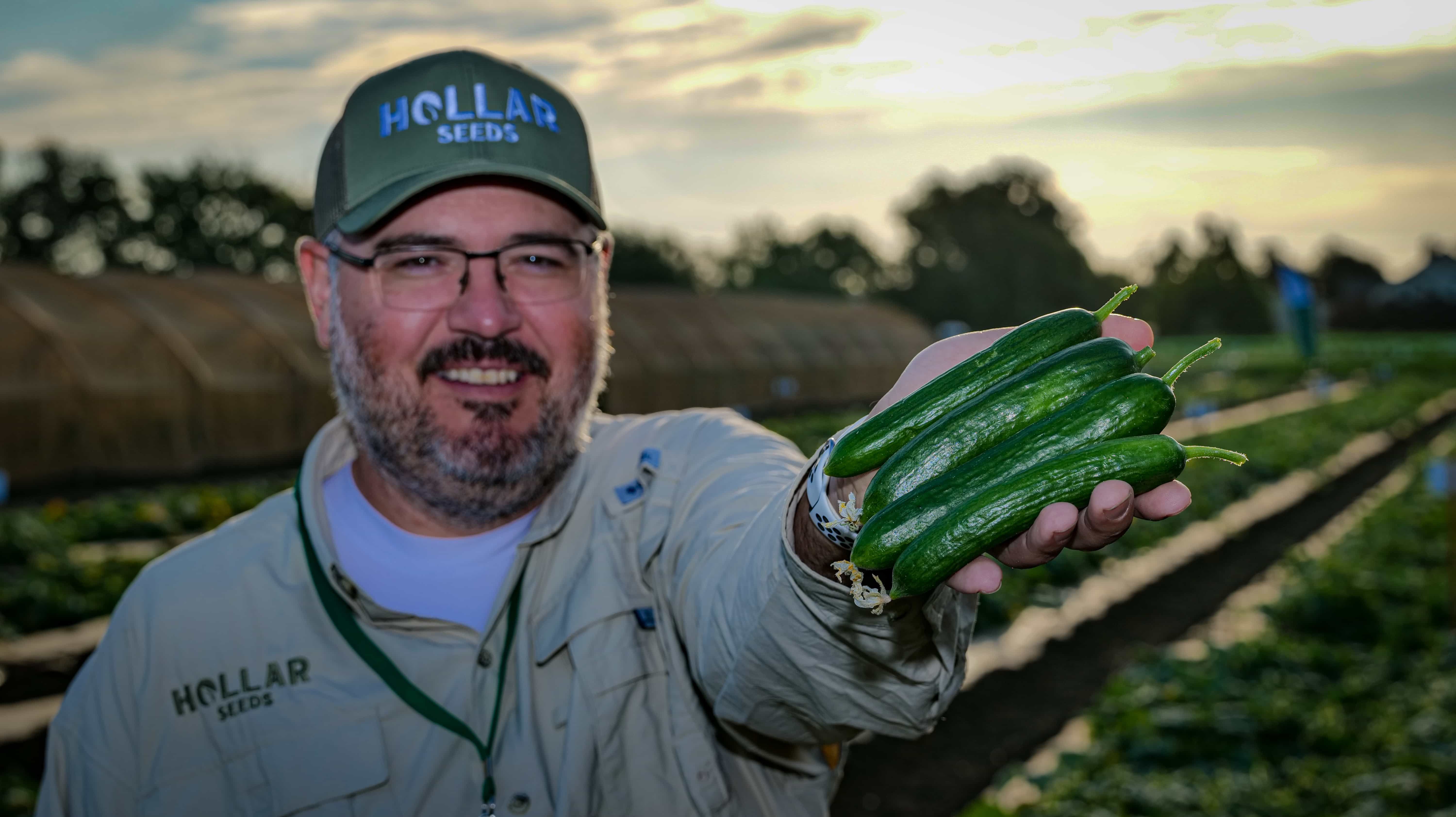 Hollar Seeds Cucumbers