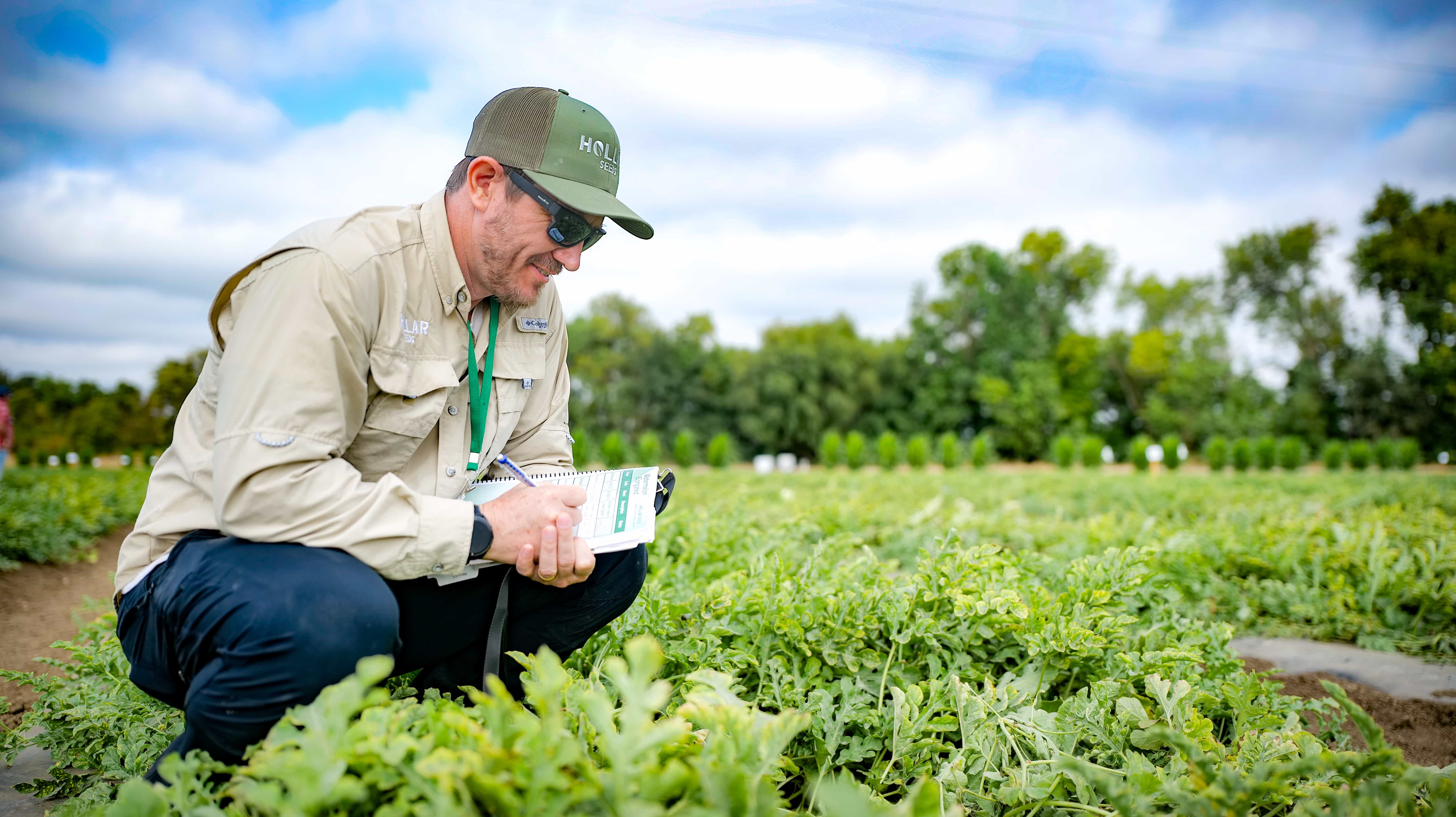 Hollar Seeds Rep taking notes in the field