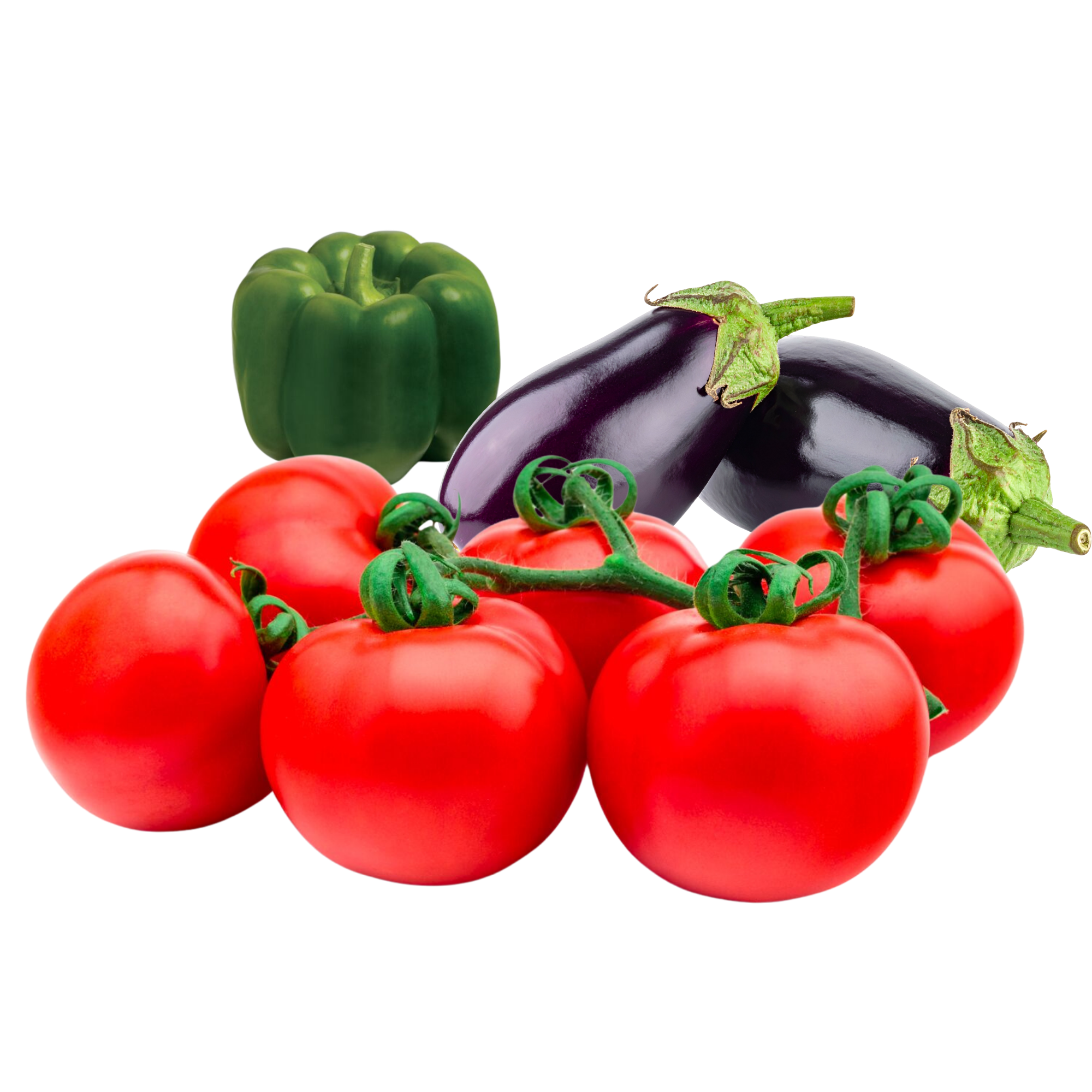 Solanaceae