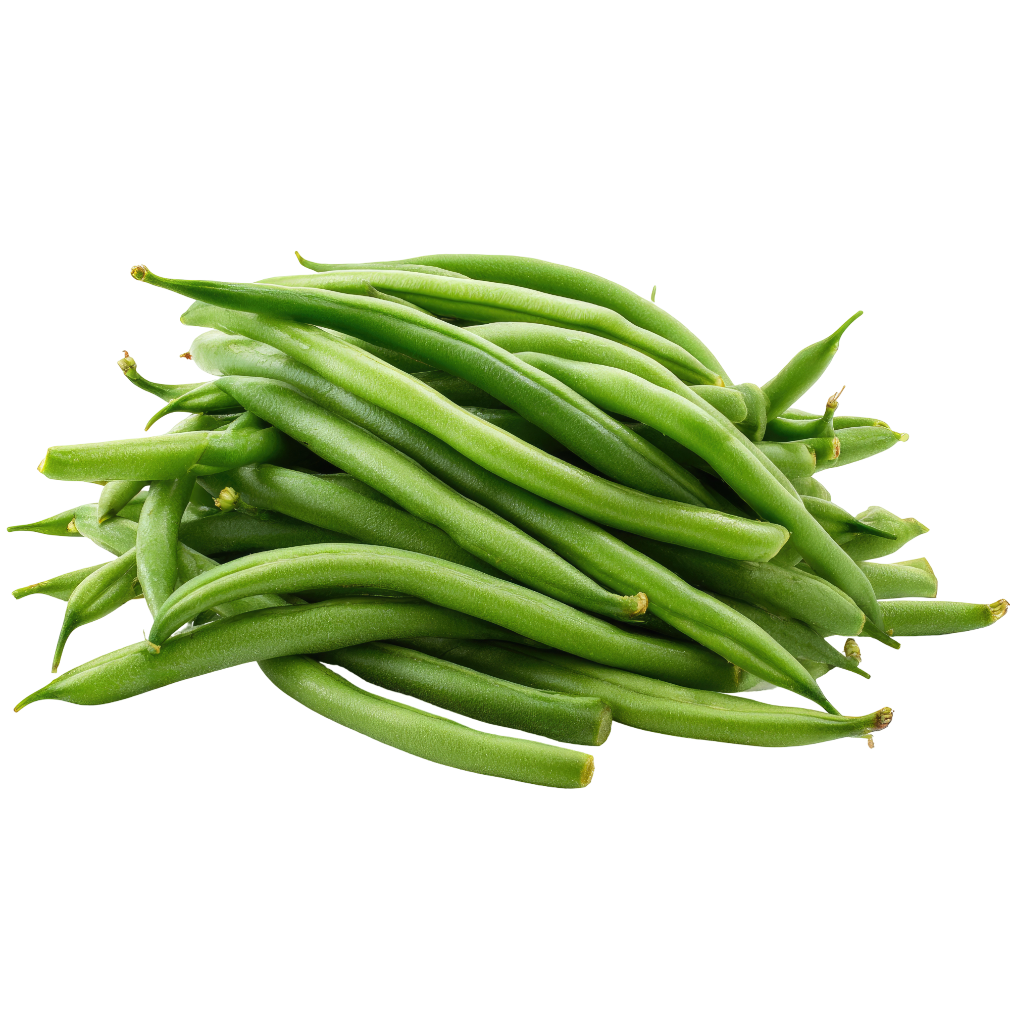 garden beans