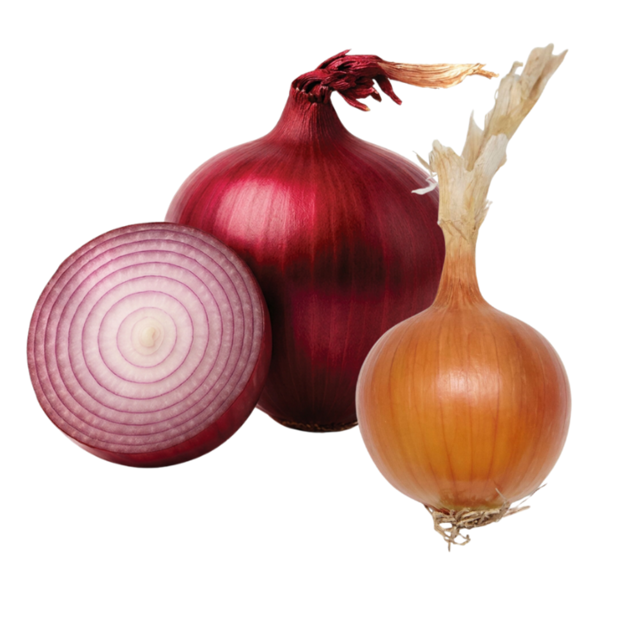 Onion